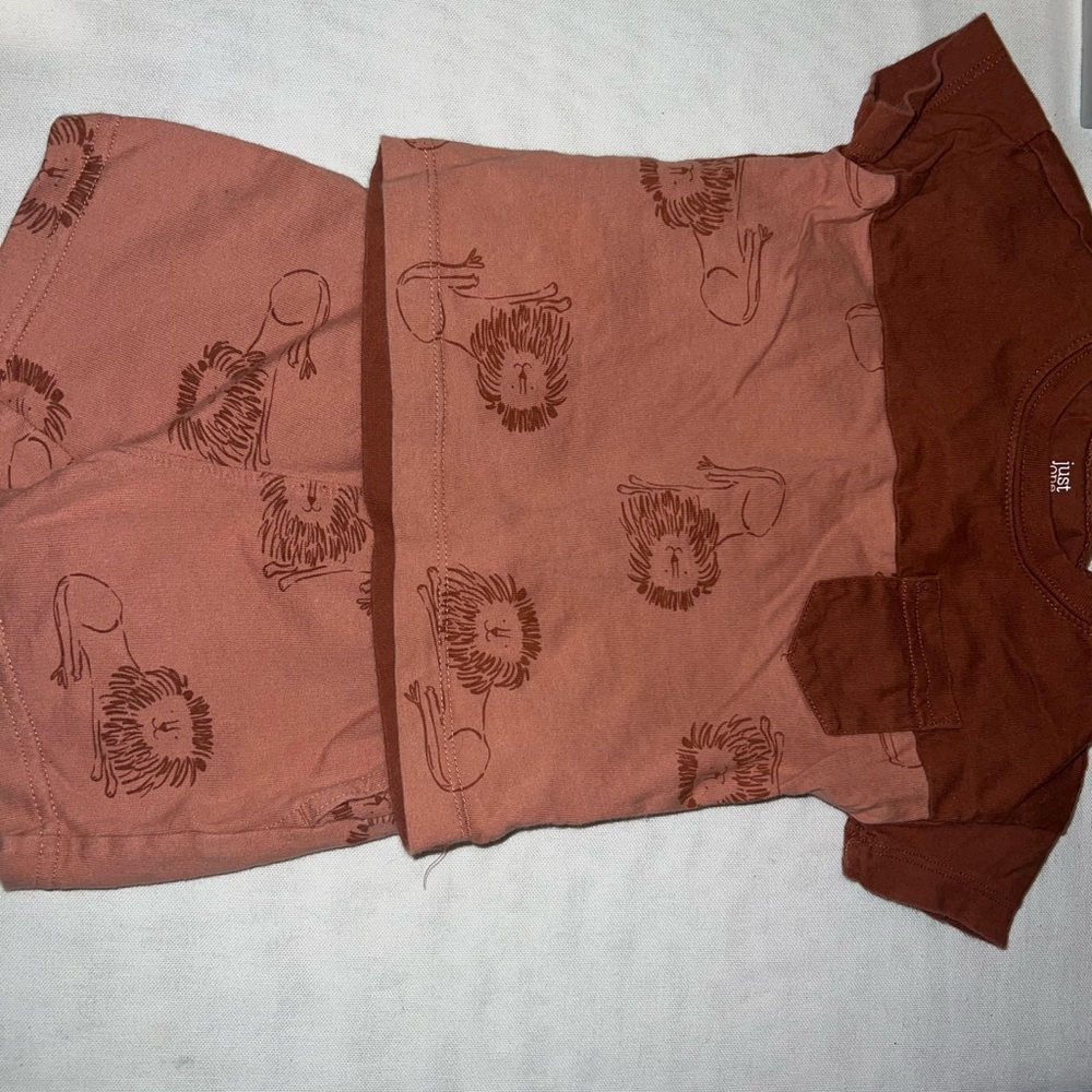 Toddler Lion Print T-Shirt and Shorts Set